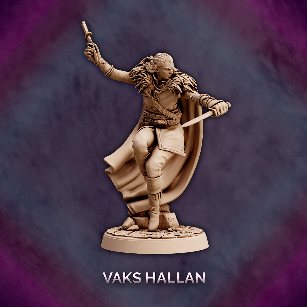 Vaks Hallan - Elf Rogue